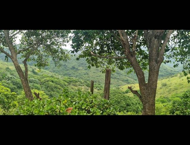 FARM FOR SALE IN MURCHISON